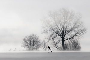Lone skater.