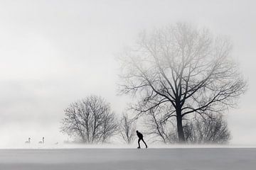 Lone skater. by Frans Lemmens