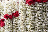 Bloemenslingers van rode rozen en witte jasmijn van Danielle Roeleveld thumbnail