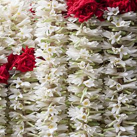Bloemenslingers van rode rozen en witte jasmijn van Danielle Roeleveld