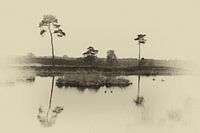 Hatertse vennen
