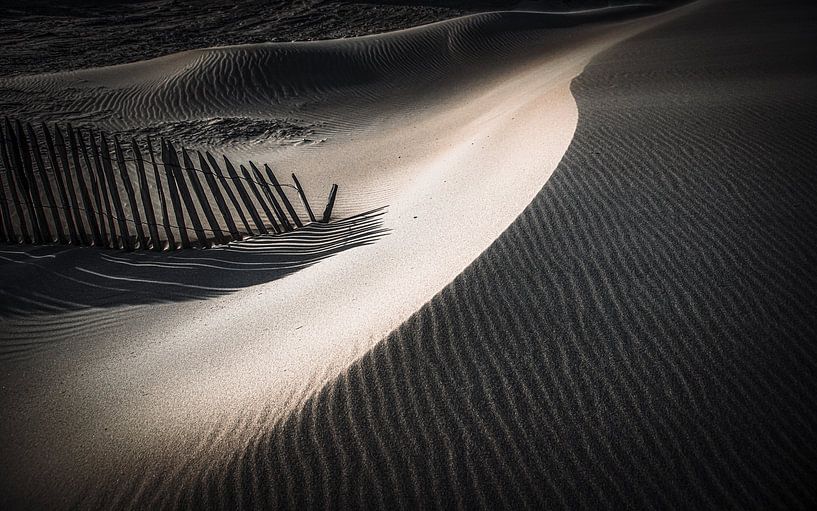 Lines play in the sand by Dirk van Egmond
