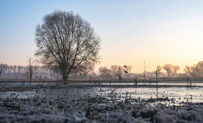 Meinerswijk Teil 22 von Tania Perneel