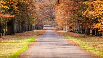 Wandelpad in park met herfstkleuren van Fotografiecor .nl