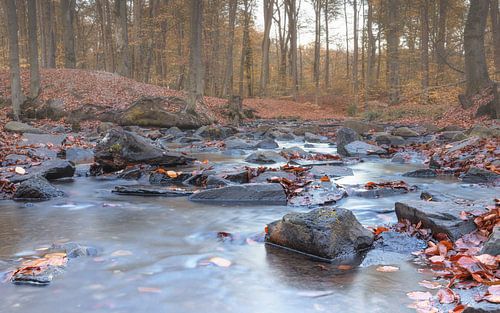 Beek bij het Bensbergmeer, Bergisch Gladbach, Duitsland