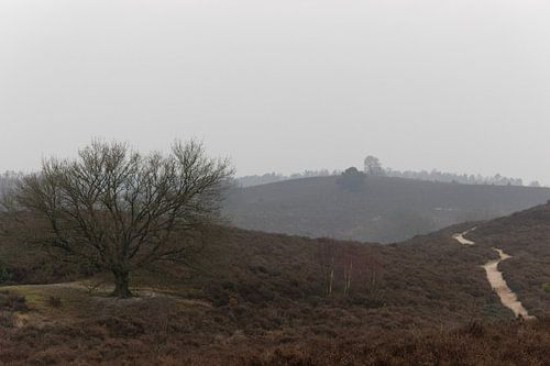 Nieseltag auf der Posbank