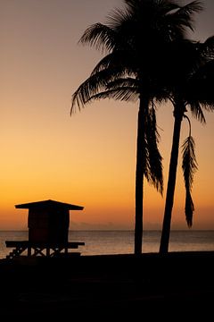 Tropische luchten en palmbomen in Miami van Maaike Koning