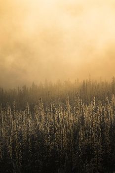 Sonnenaufgang in Norwegen