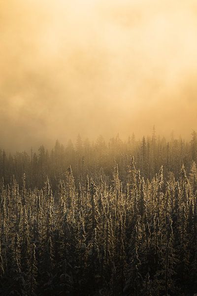 Sunrise in Norway by Wouter van der Weerd