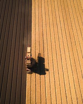 Tractor lays straw on newly planted potatoes by Ewold Kooistra
