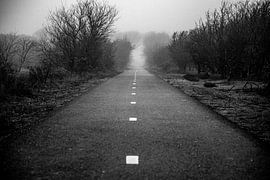 Mistige weg in de duinen van Noordwijk van Yanuschka | Fotografie Noordwijk
