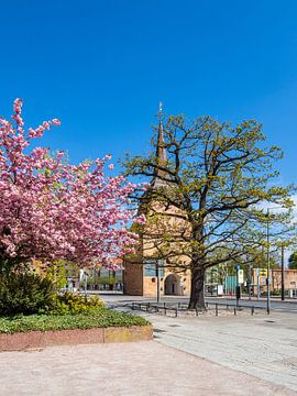 Porte de pierre dans la ville hanséatique de Rostock sur Rico Ködder