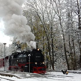 Steaming through the snow by Louise Hoffmann