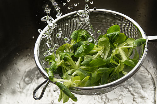 frischer grüner Maissalat in einem Metalltopf unter vielen Wassertropfen, waschen und gesundes Essen