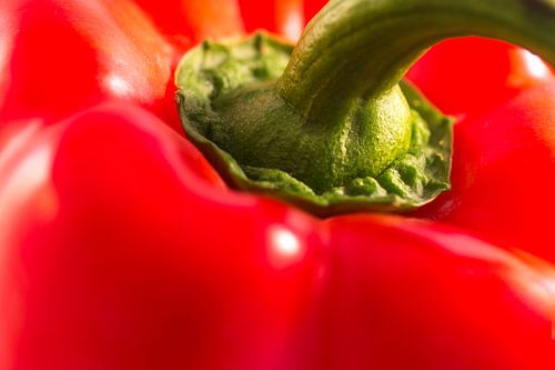 Rode paprika close up