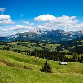 Panorama - Alpe di Siusi in South Tyrol by Candy Rothkegel / Bonbonfarben