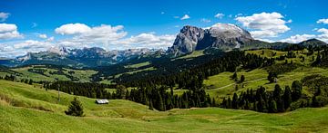 Panorama - Alpe di Siusi dans le Tyrol du Sud sur Candy Rothkegel / Bonbonfarben
