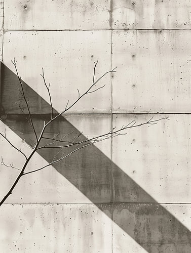 Shadow Play on a Smooth Concrete Panel