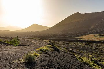 Vulkanische bergen in Lanzarote van Easycopters