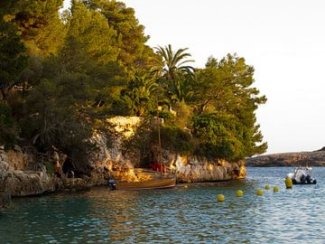 Baai von Guido Akster