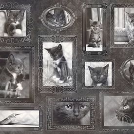Vintage Kitten liefde van Christa Krus
