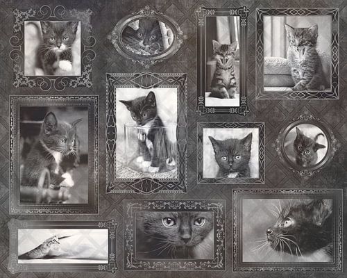 Vintage Kitten Love