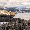 Uitzicht over de Titisee in de winter van Alexander Wolff