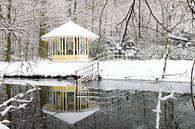 Landgoed Elswout in de winter von Michel van Kooten Miniaturansicht