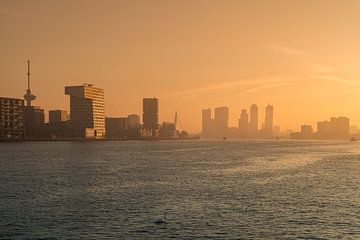 Die Skyline von Rotterdam bei einem wunderschönen Sonnenaufgang