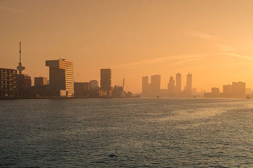 De skyline van Rotterdam tijdens een prachtige zonsopkomst