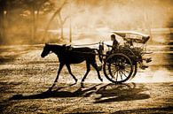 Dusty horse ride par Xlix Fotografie Aperçu