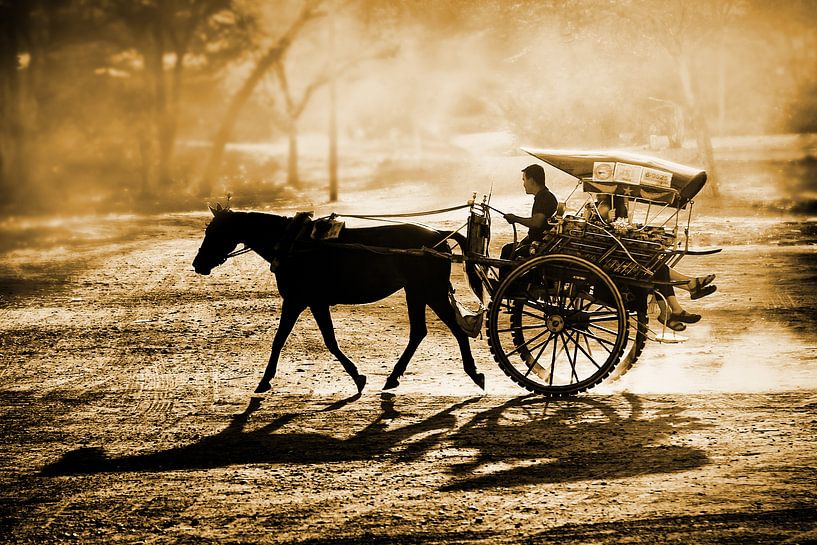 Dusty horse ride par Xlix Fotografie