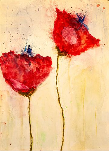 Two poppies with blue buds