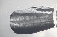 IJsschots in het water