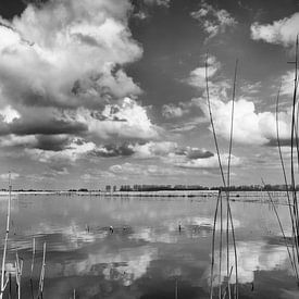 ruimte voor de rivier van Eugene Winthagen