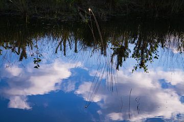 De wereld op zijn kop door reflectie in het water van FotoGraaG Hanneke