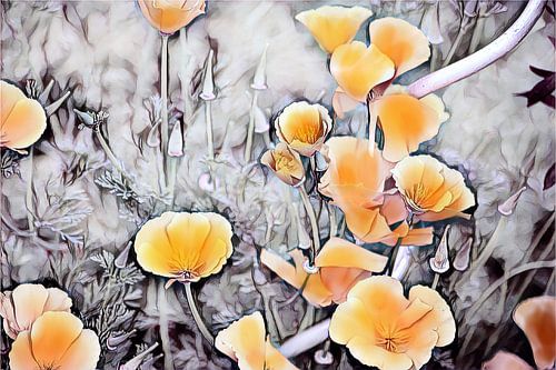 Gele Californische klaproos