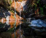Waterval van de Salmon Creek van Remco Bosshard thumbnail