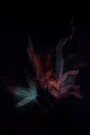 Fiery Leaves | Abstract Photo Art by Arma Kremers