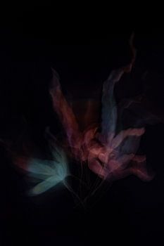 Vurige Bladeren | Abstracte Fotokunst