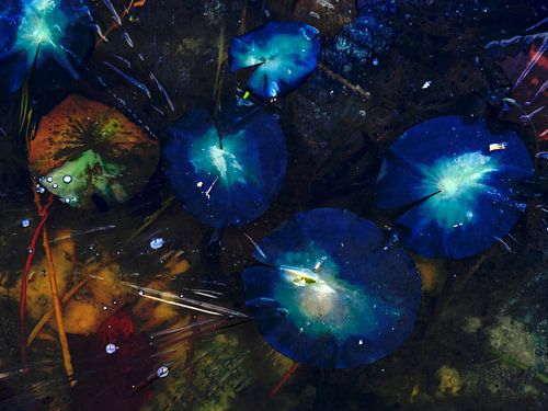 Blauwe signalen