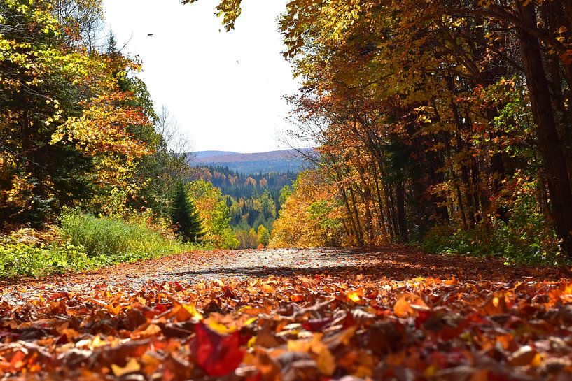A country road in autumn by Claude Laprise