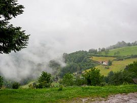 Paysage dans les Vosges sur Delphine Kesteloot