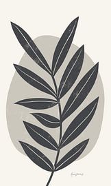 Mid Century Modern II Grey Crop, Becky Thorns von Wild Apple