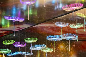 In the breath of the stars: Wat Phra That Sorn Kaew