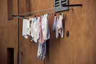Clothesline in Italy by Regina Elise thumbnail