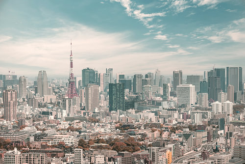 Fascinating Tokyo Skyline - urban vintage style