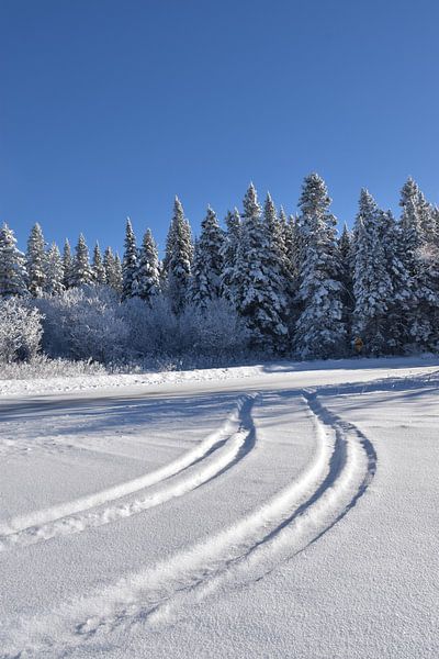 Des traces de pneus dans la neige par Claude Laprise
