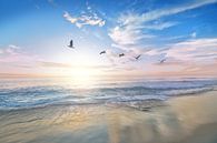 Beach and Seagulls  by Fela le Blanc thumbnail