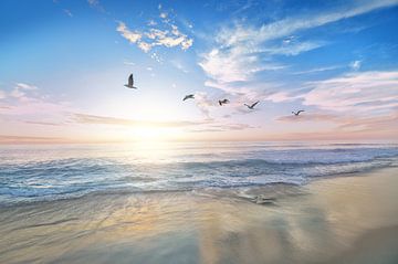 Beach and Seagulls  by Fela le Blanc